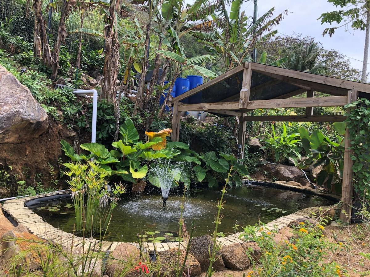 טקמק Paradise Chalets Yoga & Wellness מראה חיצוני תמונה