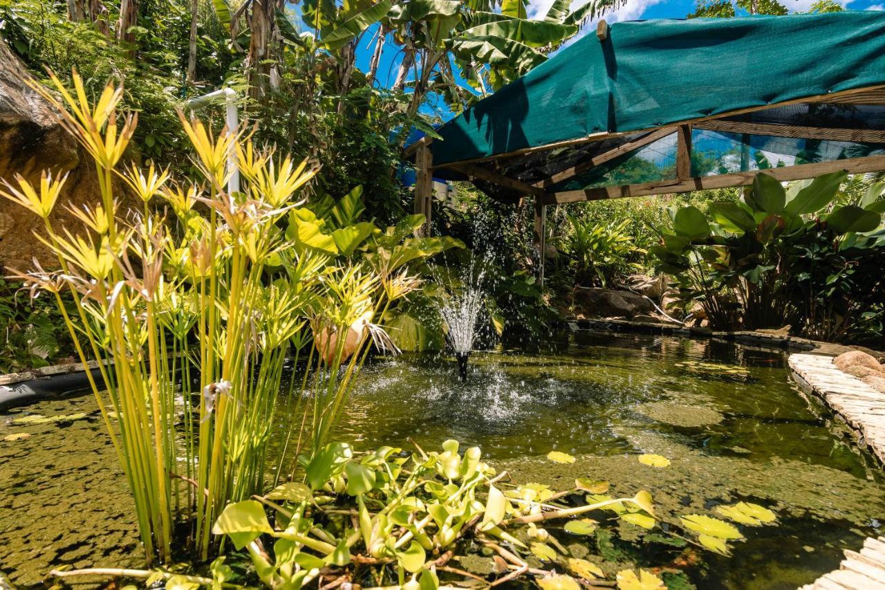 טקמק Paradise Chalets Yoga & Wellness מראה חיצוני תמונה