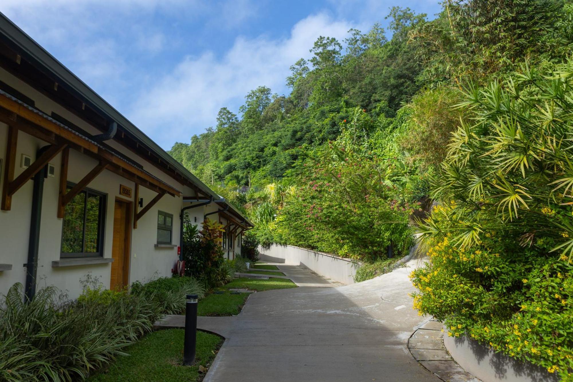 טקמק Paradise Chalets Yoga & Wellness מראה חיצוני תמונה