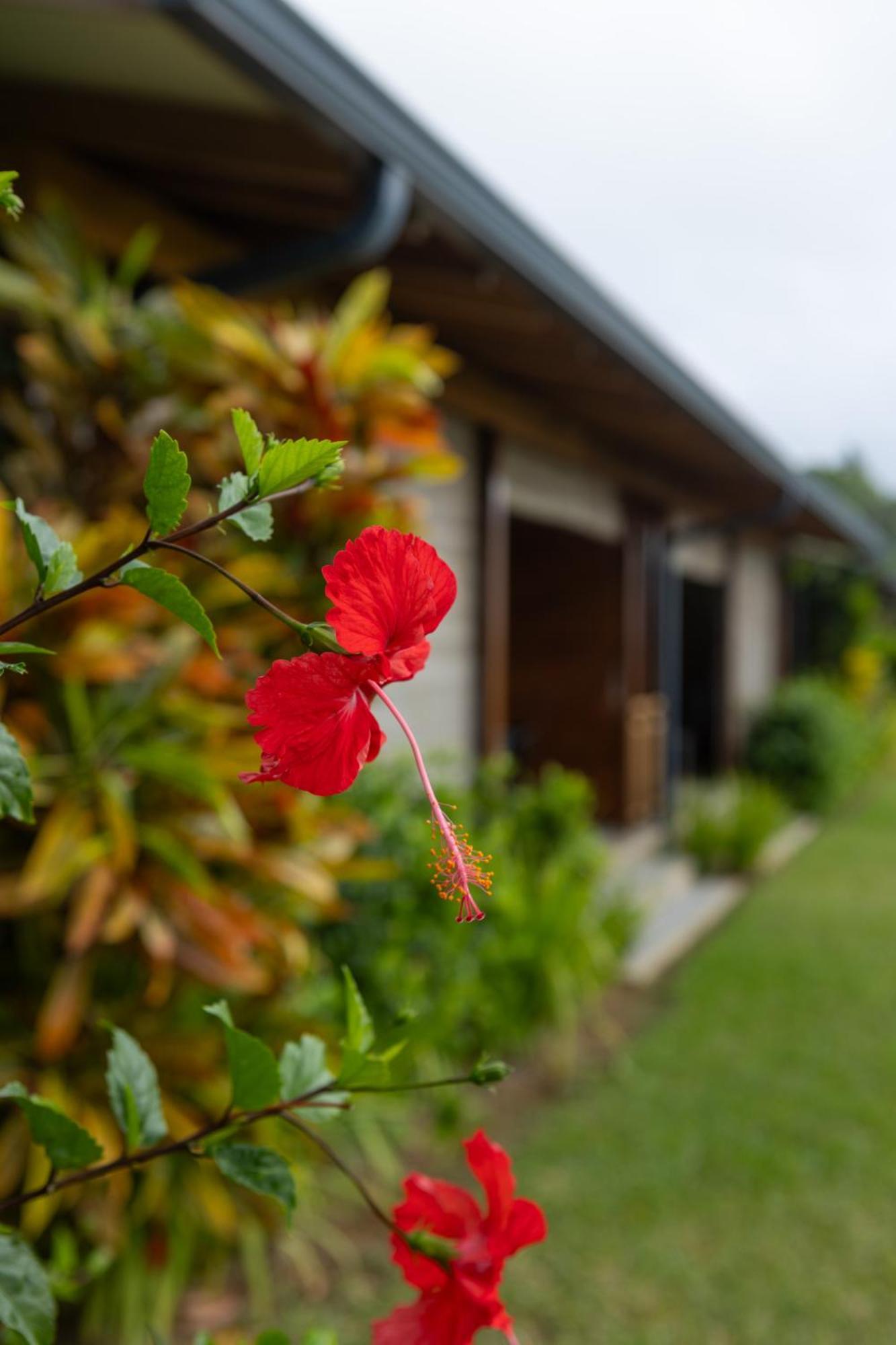 טקמק Paradise Chalets Yoga & Wellness מראה חיצוני תמונה